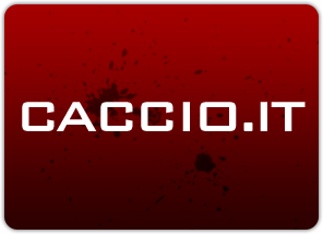 Caccio.it